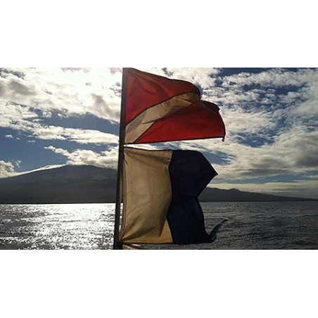 Bandera barco  ROJA 40x33cm (Fox)