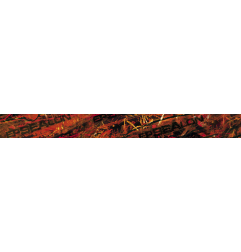 Stickers covering Red Fusion