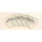 Right negative correction lens - Mask Seaquest Diopter