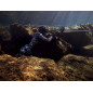 Spearfishing pants - Dark fusion 7mm Spearfishing pants - Dark fusion 7mm