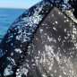 Spearfishing jackets - Black SeaBass -7mm