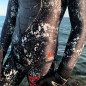 Spearfishing pants - Black Seabass -3mm