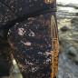 Spearfishing pants - Kombu 5mm Spearfishing pants - Kombu 5mm