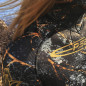 Spearfishing jackets LOTUS (women) - 7mm Spearfishing jackets LOTUS (women) - 7mm