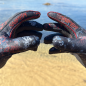 Guantes Tactical Ghost SNIPER 3mm Reforzados con PowerKev Guantes Tactical Ghost SNIPER 3mm Reforzados con PowerKev