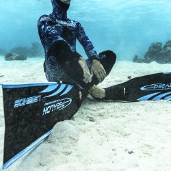 Carbon fins